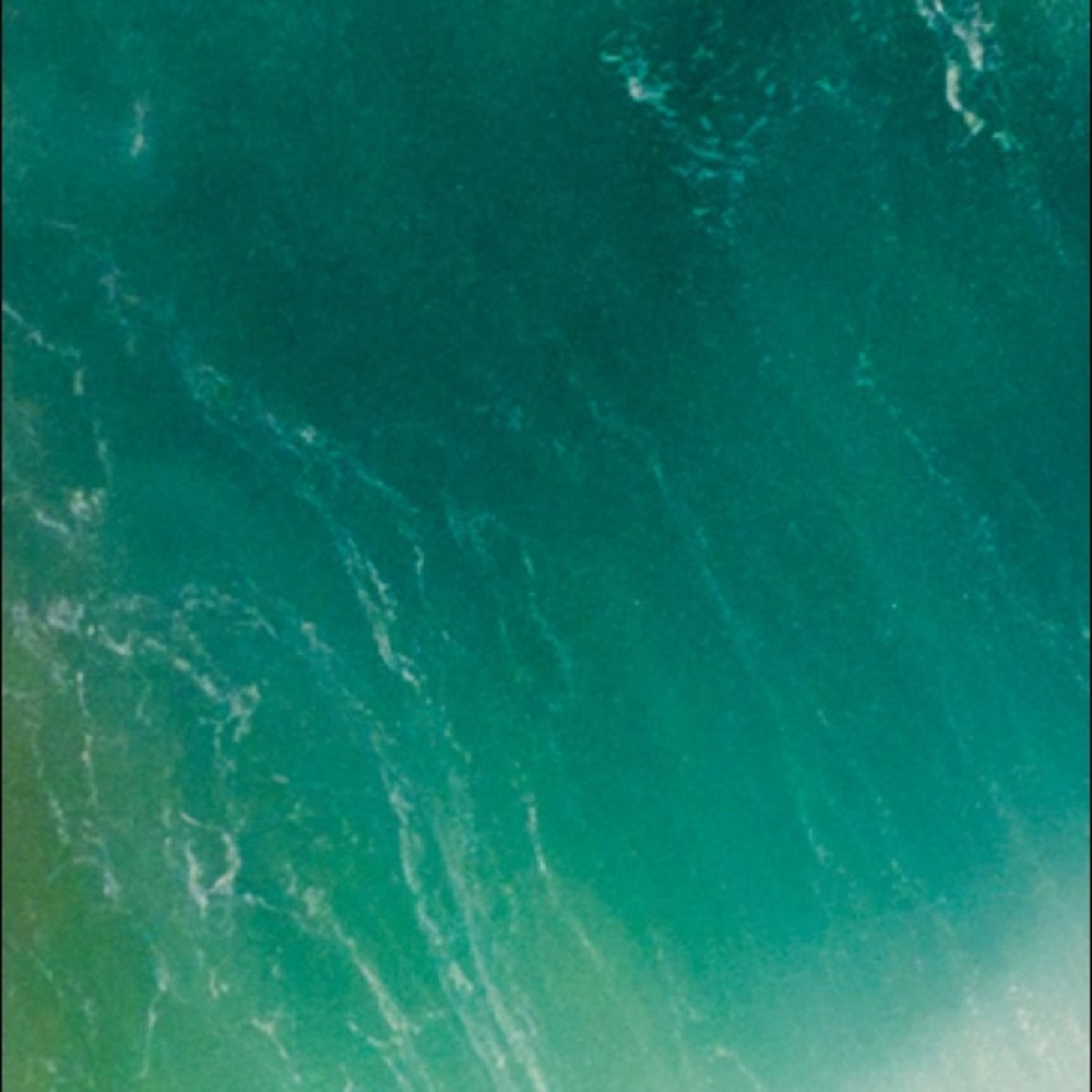 Meet your Posher, Liz